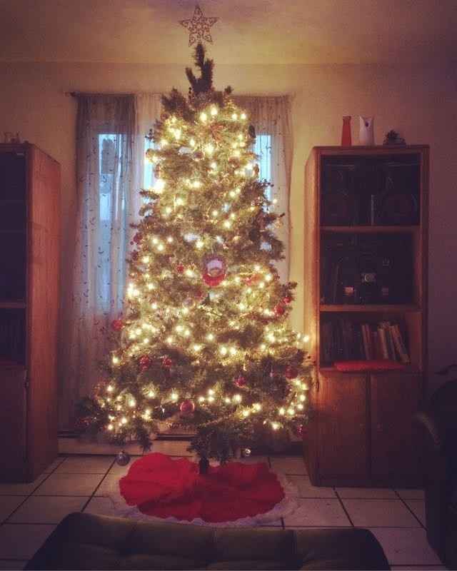 NWR-show me your Xmas trees