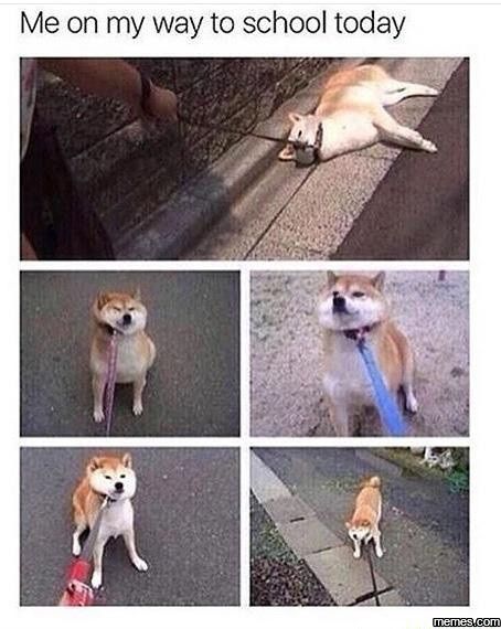 KWR: Since none of us are being productive at work today.. Meme your mood!!