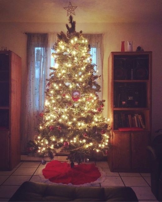 NWR-show me your Xmas trees