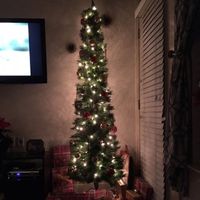 NWR-show me your Xmas trees