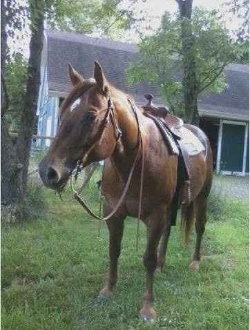 Nwr- show me your fur babies