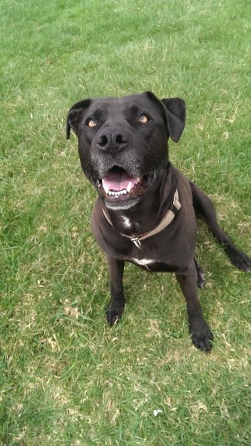 Nwr- show me your fur babies