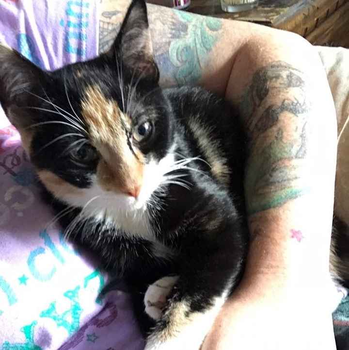 NWR: Worst. Day. Ever. Upate