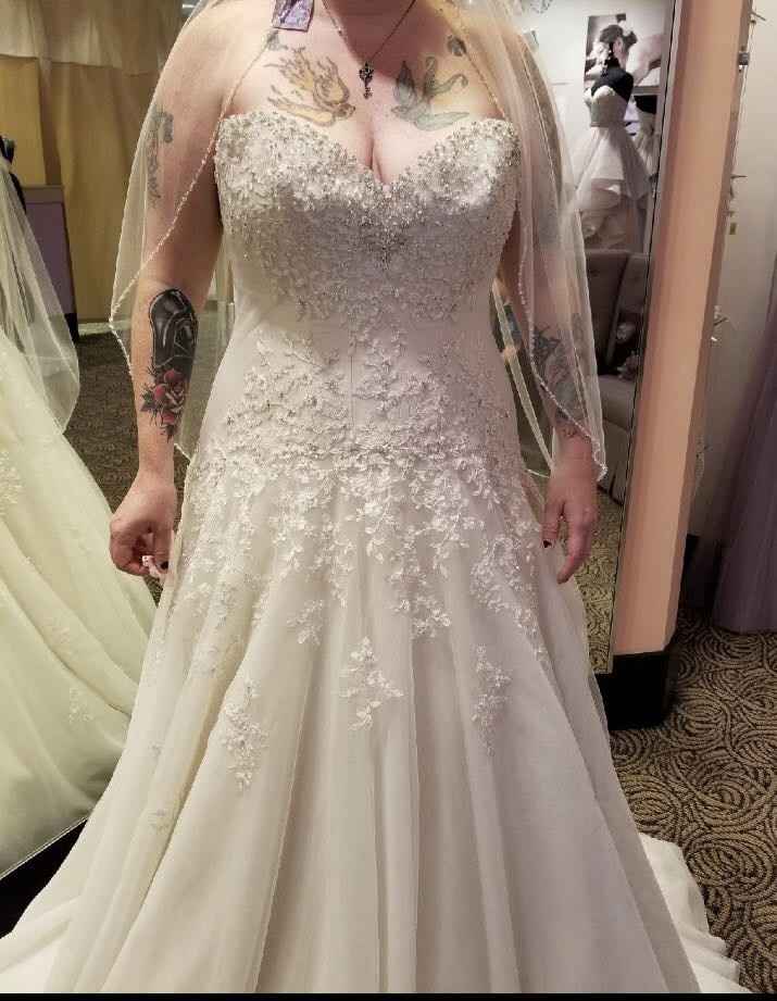 Let Me See Your Dresses: Plus Size Edition