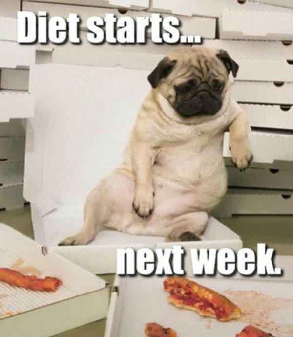 How is everyone's wedding diet going?!?