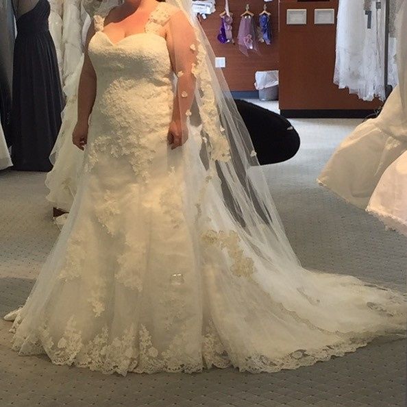 Plus Size Wedding