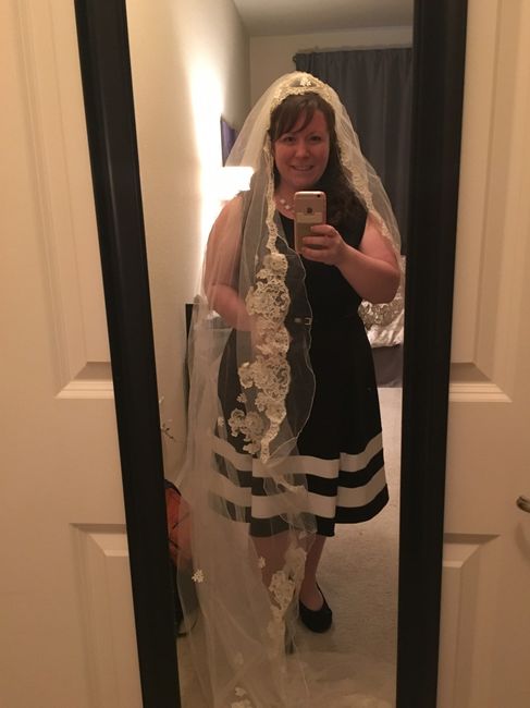 Veils