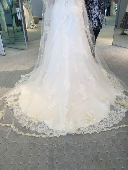 Opinions needed on veil choice