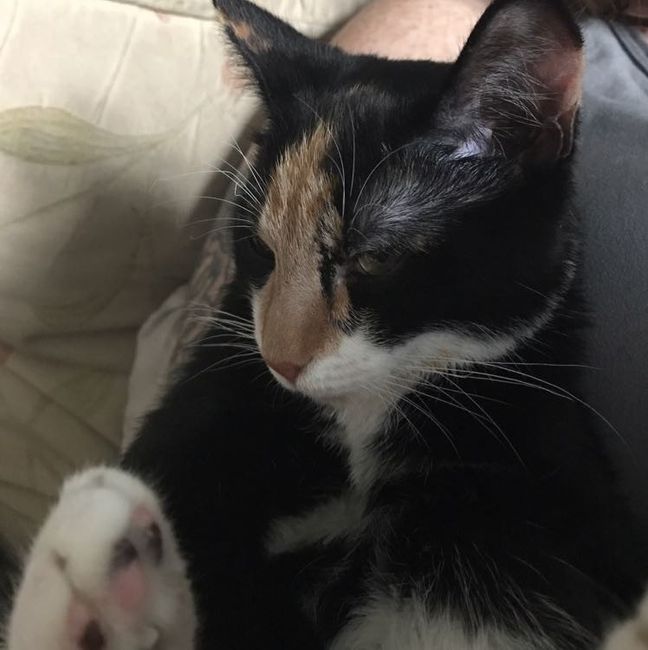 Show me your fur babies!