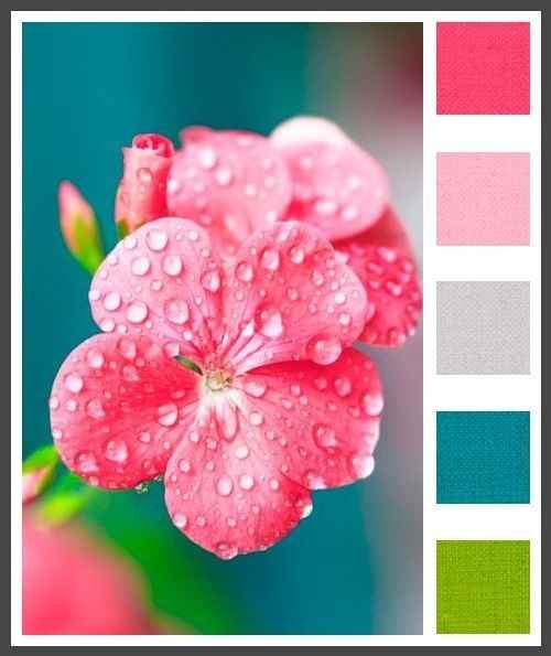 August wedding colors