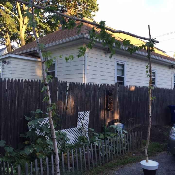 Arch decor help needed