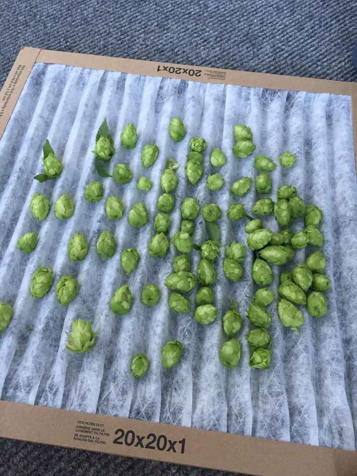 So productive today!