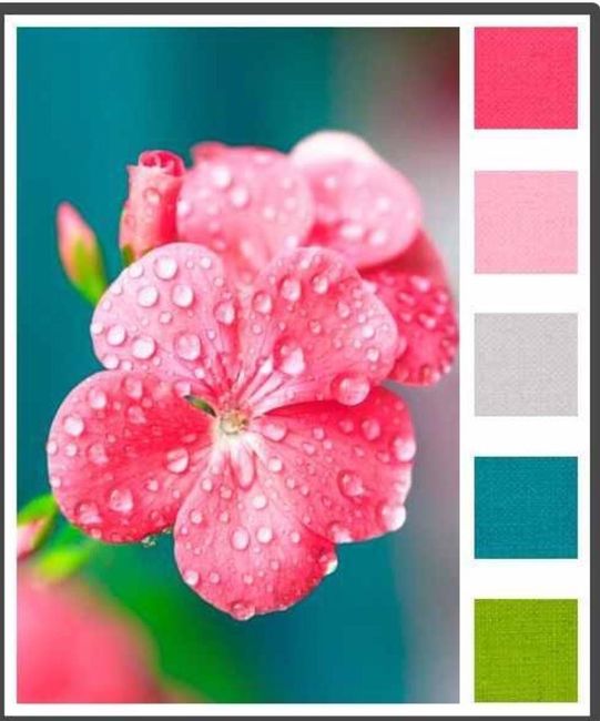 Summer 2016 Brides :)