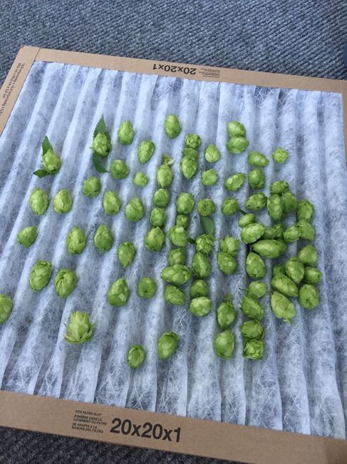 So productive today!