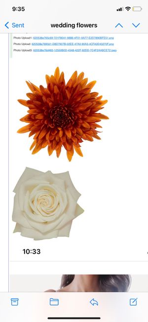 What flowers are best for fall weddings? 7