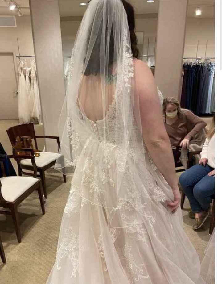 Veils - 1