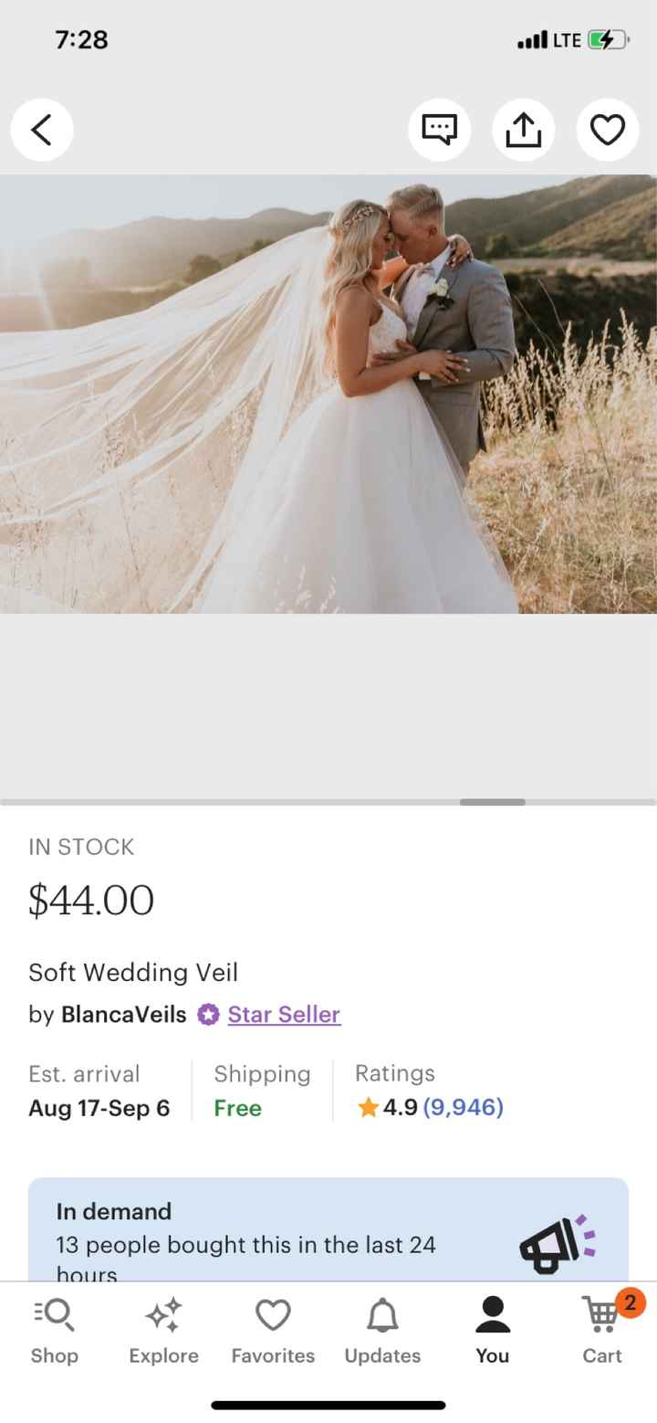 Wedding veil?? - 1