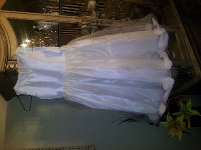 FG Dress... (Pic)