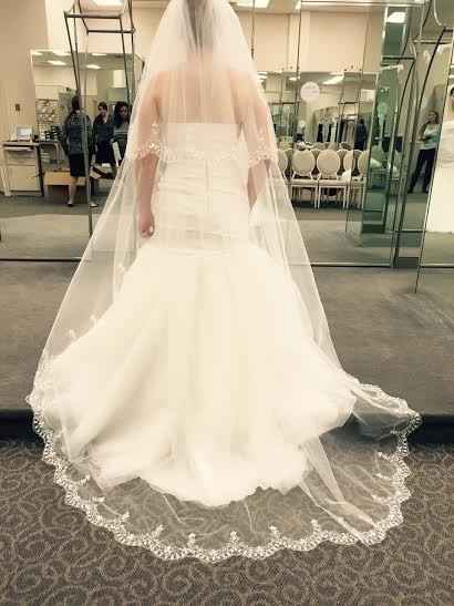 Long train   Long veil?