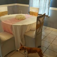 Ehhh I don't know how I feel about my...