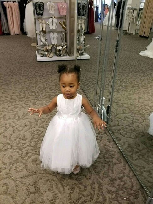 Flower Girl Dress