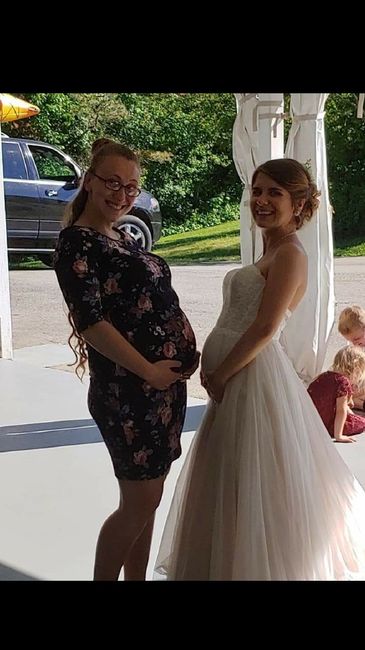 Bam! Not pro pictures 9