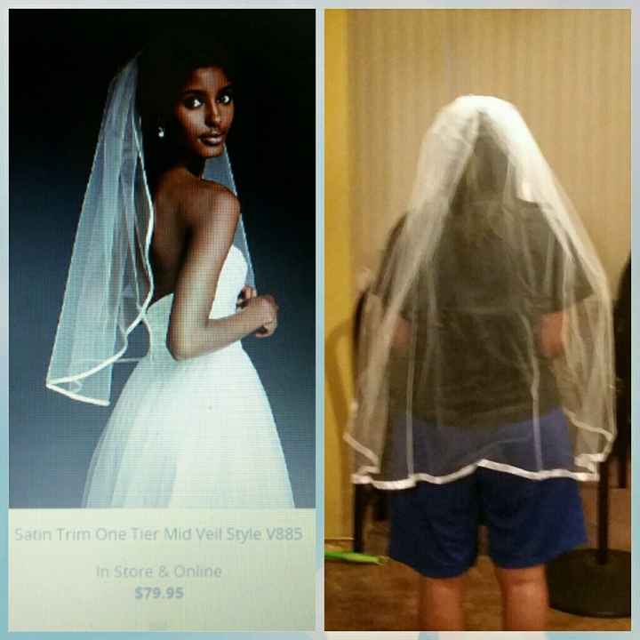 Veil Prices