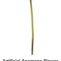 Help me identify these flowers!