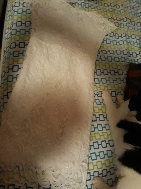 Custom Dress Anyone?? - 4