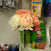 Boutonniere Help!!!! - 2