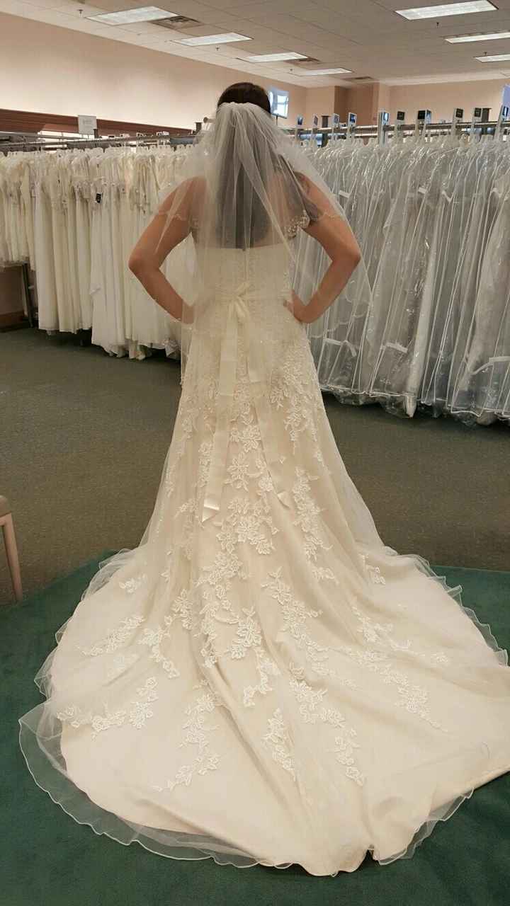 Hello everyone! And I said yes to the dress!