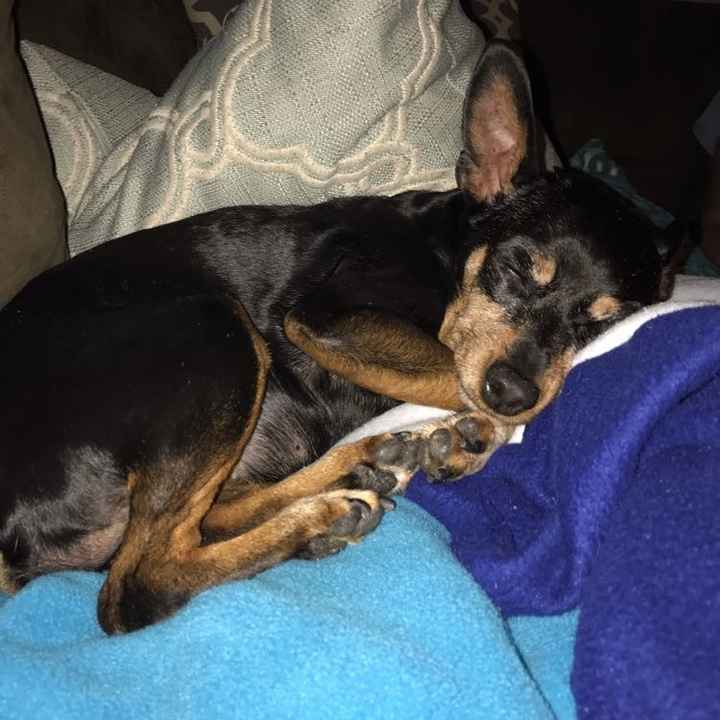 KWR-sharing some cuteness today.