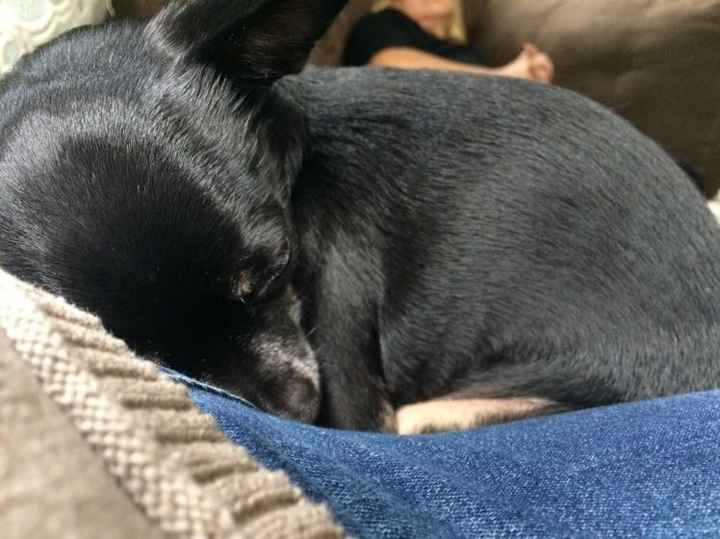 Just need to vent and cry a little