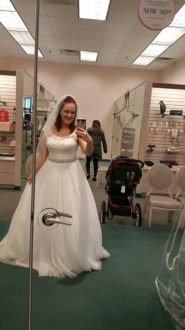 LET'S  SEE THE DRESSES