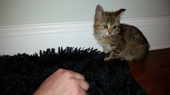 NWR: Tiny new friend!
