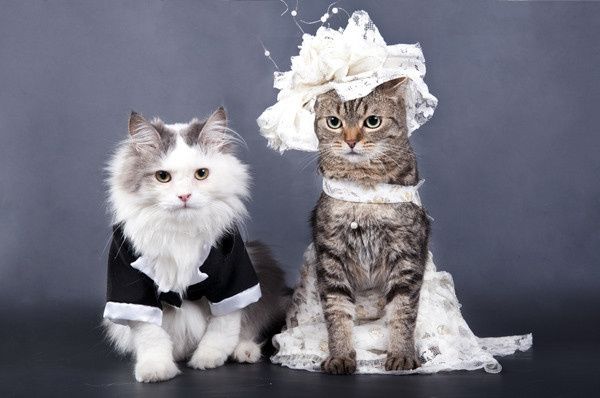 When you're a parent of a bride/groom will you "require" something before they get married?