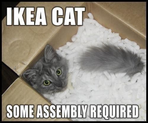 This is how I feel about DIY sometimes...