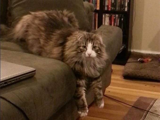 NWR: Lets talk pets.