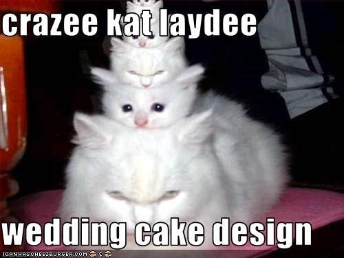 Wedding MEMES!