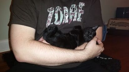 NWR: longest week ever. Need kitten pictures