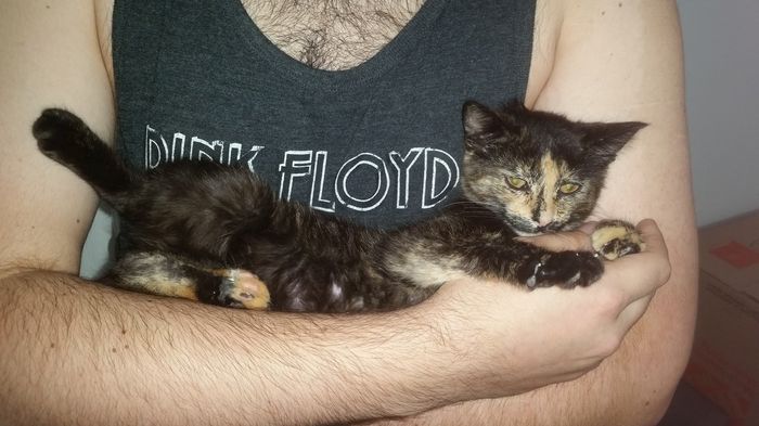 NWR: longest week ever. Need kitten pictures