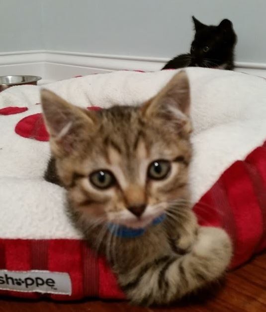 NWR: Happy Fursday!