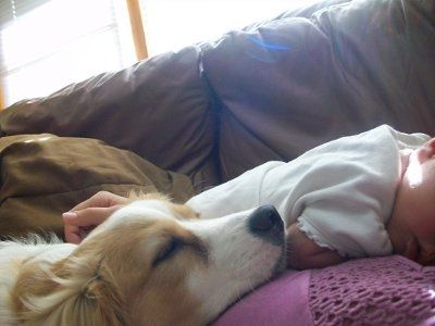 Let's see your pets!