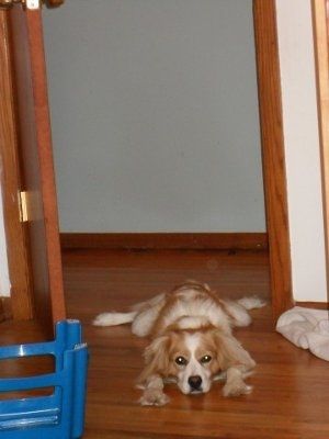 NWR - Furbabies :)