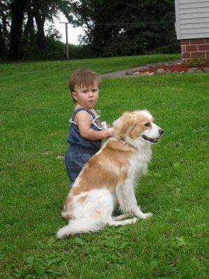 NWR - Furbabies :)