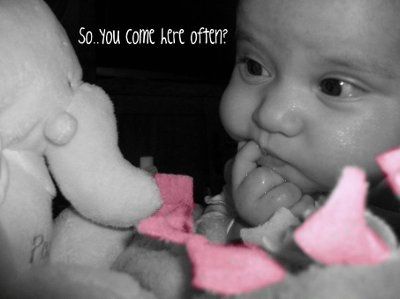 NWR: Revenge of the son of Picnik!