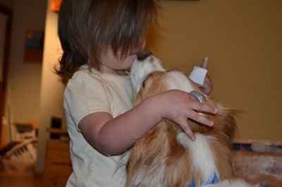 Furbabies!!! Lets show them off!