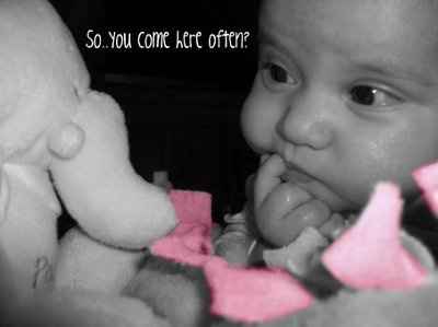 NWR: Revenge of the son of Picnik!