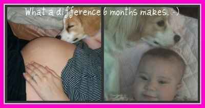 NWR: Revenge of the son of Picnik!