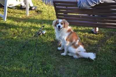 *NWR* Show me your pets/animals! *PICS*